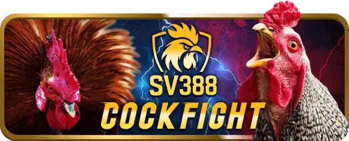Các mẹo và chiến lược chơi Nổ Hũ hiệu quả tại iwin link